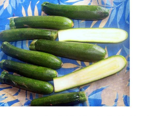 Zuccini.jpg
