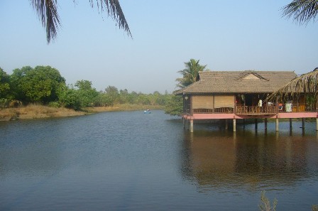 Saguna_Baug_01007.jpg