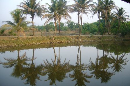 Saguna_Baug_01016.jpg