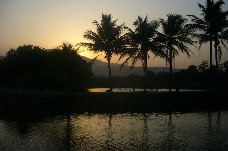 Saguna_Baug_01101.jpg