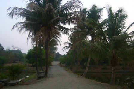 Saguna_Baug_01109.jpg