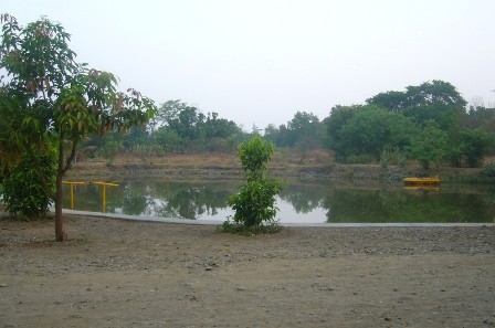 Saguna_Baug_01110.jpg