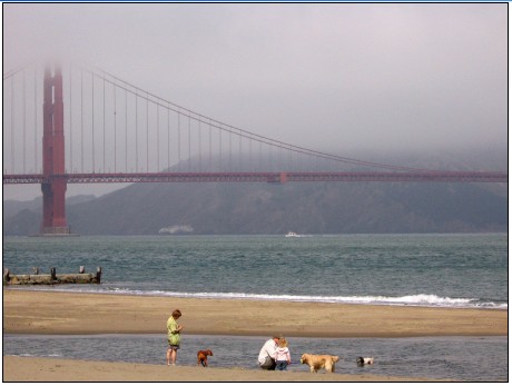 Life at the Golden Gate