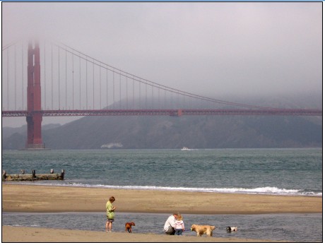 Life at the Golden Gate